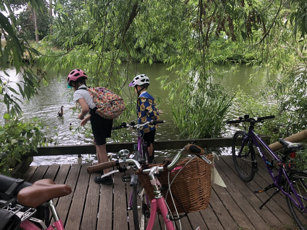 After school activities: A photo of two children leaning over a lake to feed the ducks. There are three bikes parked nearby.